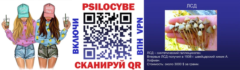 Галлюциногенные грибы прущие грибы  сколько стоит  Щёлкино 
