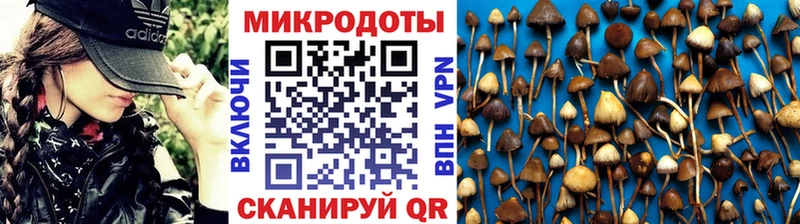 Галлюциногенные грибы Cubensis Щёлкино